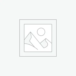 Uncategorized